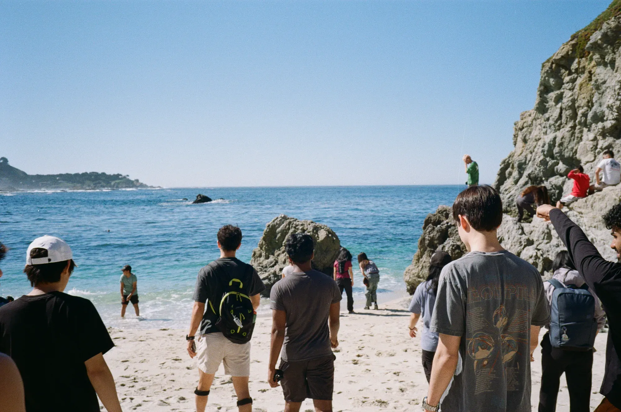 Point Lobos State Natural Reserve (1 of 1)